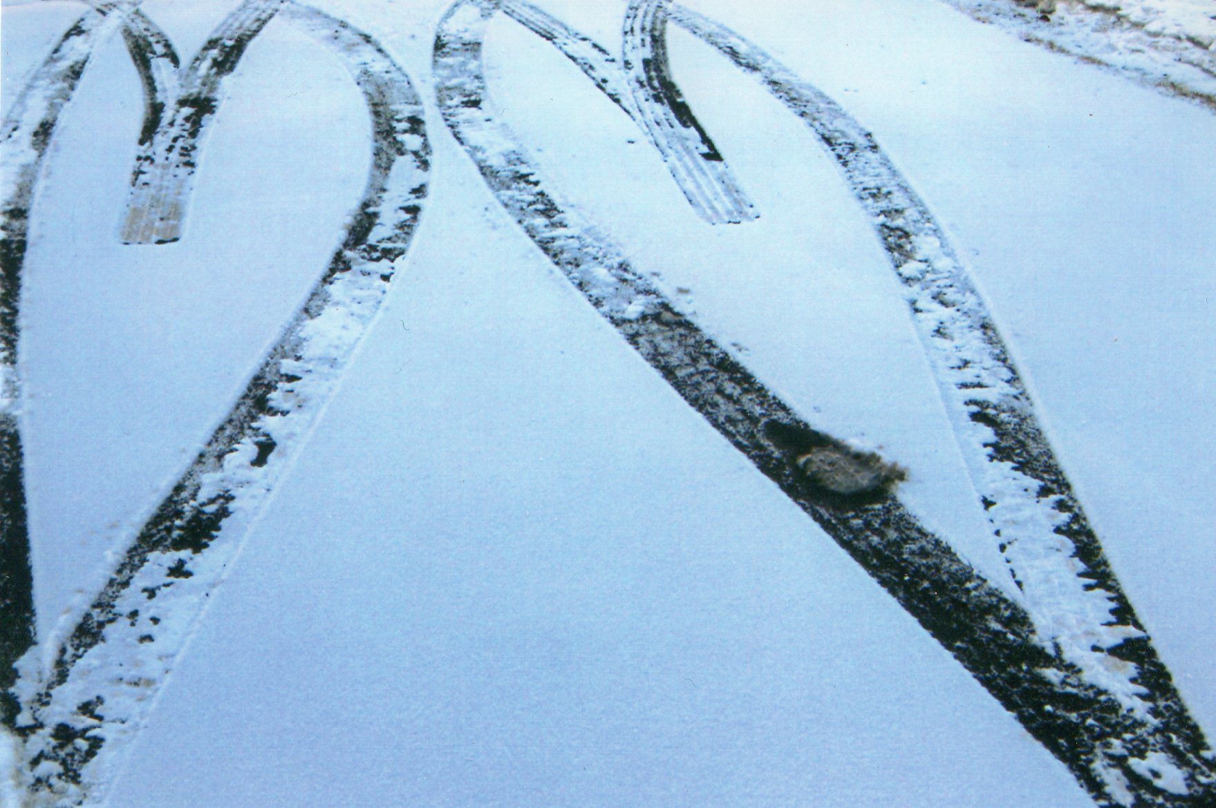 Driveway hearts